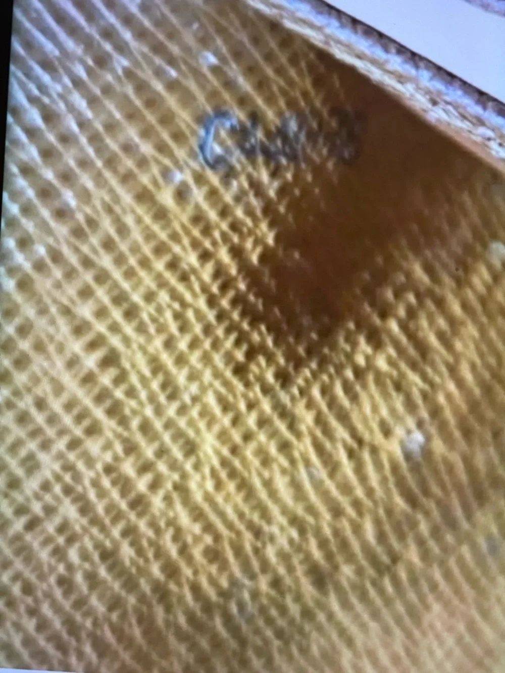 Louis Vuitton Monogram Continental Wallet in Brown and Gold - Picture 14 of 14